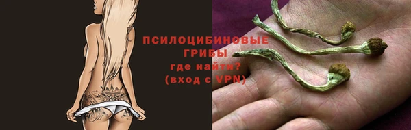 молекула духа Алексин