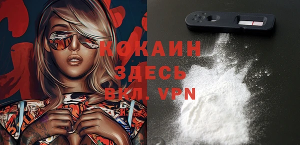 молекула духа Алексин