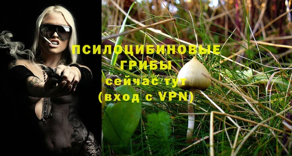шишки Алзамай