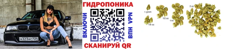 Конопля AK-47  хочу   Костерёво 